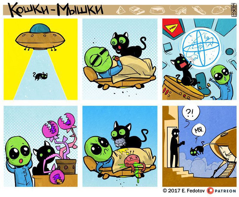 Котэкшн