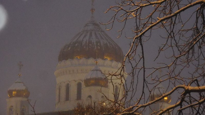 котёнок гав