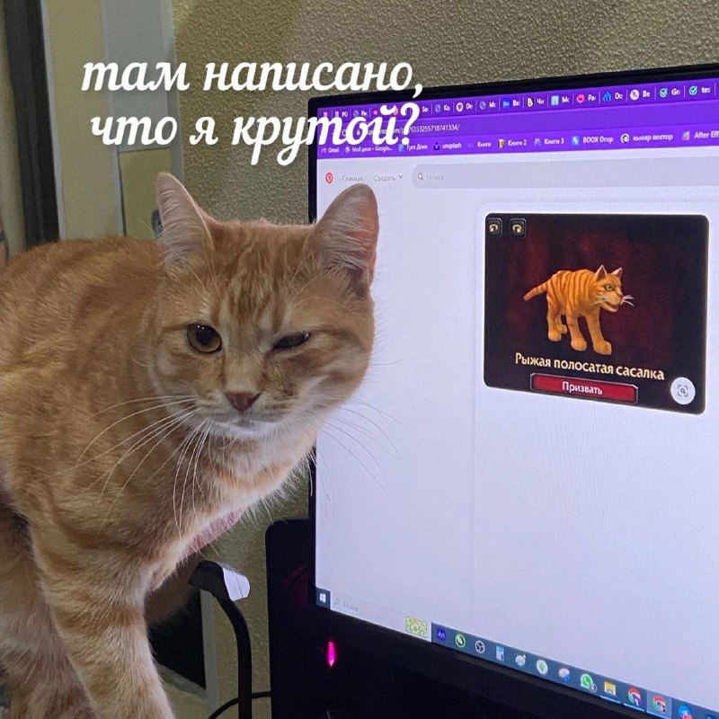 [**Котики и мемики**](https://t.me/koti_memes) *****🤩*****