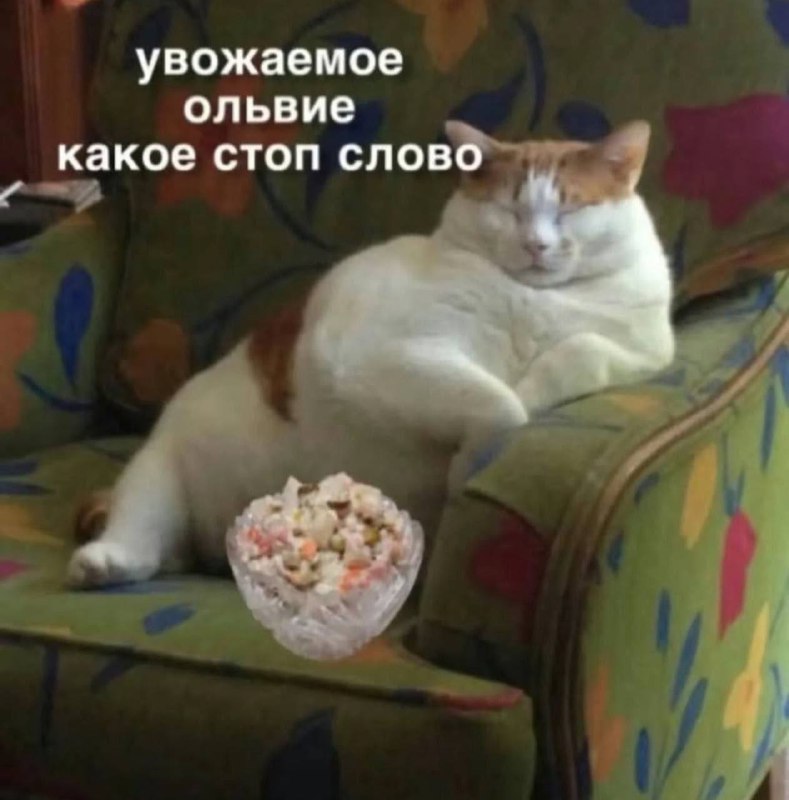 Мемы с котиками