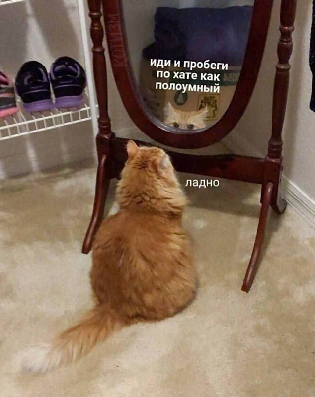 KOTOgram