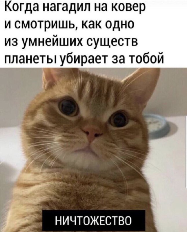 KOTOgram