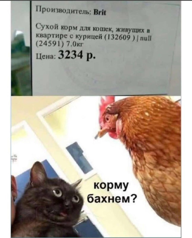 [#классика](?q=%23%D0%BA%D0%BB%D0%B0%D1%81%D1%81%D0%B8%D0%BA%D0%B0)