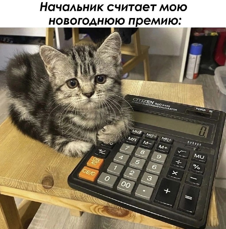 Котовище