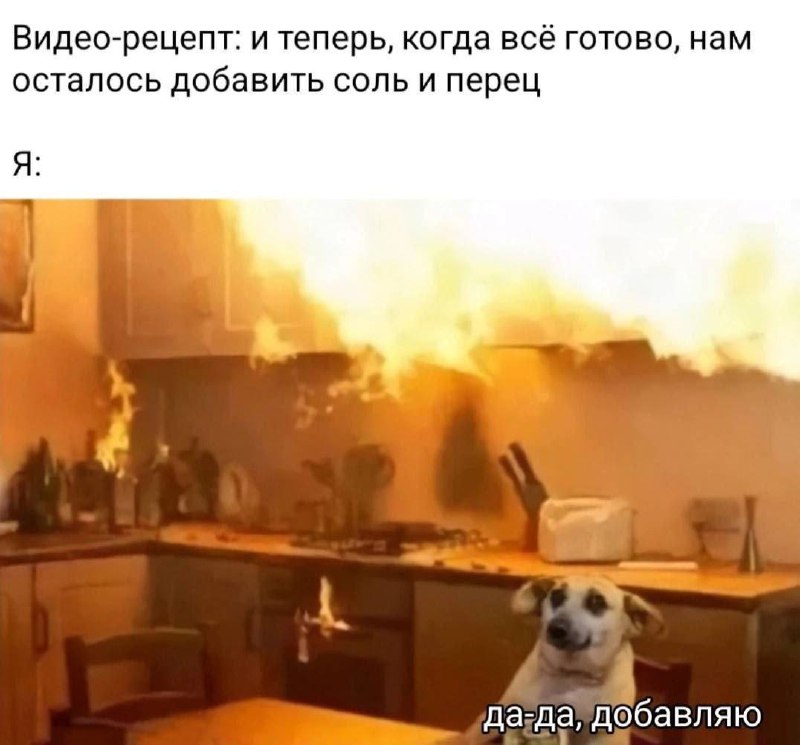 Котьи новости