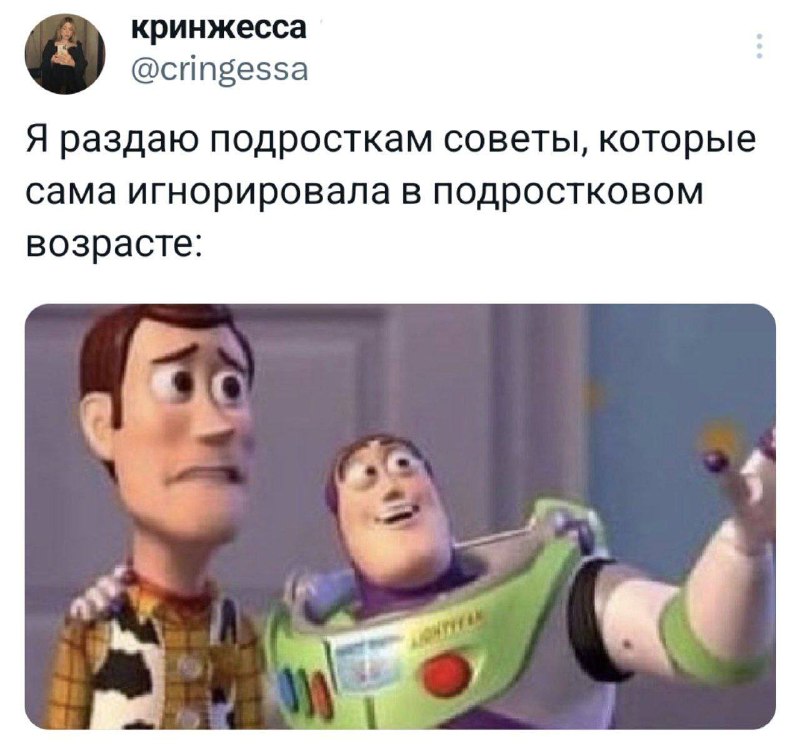 Котьи новости