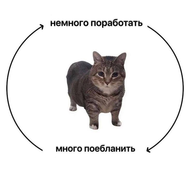 КО3NЙ 3.0