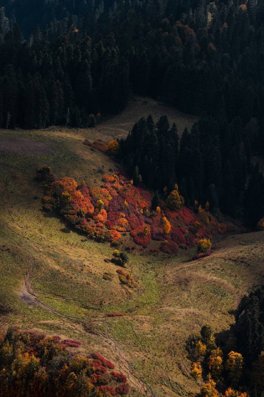 Курорт Красная Поляна