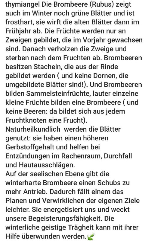 Kräuter-Gut