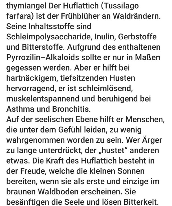 Kräuter-Gut