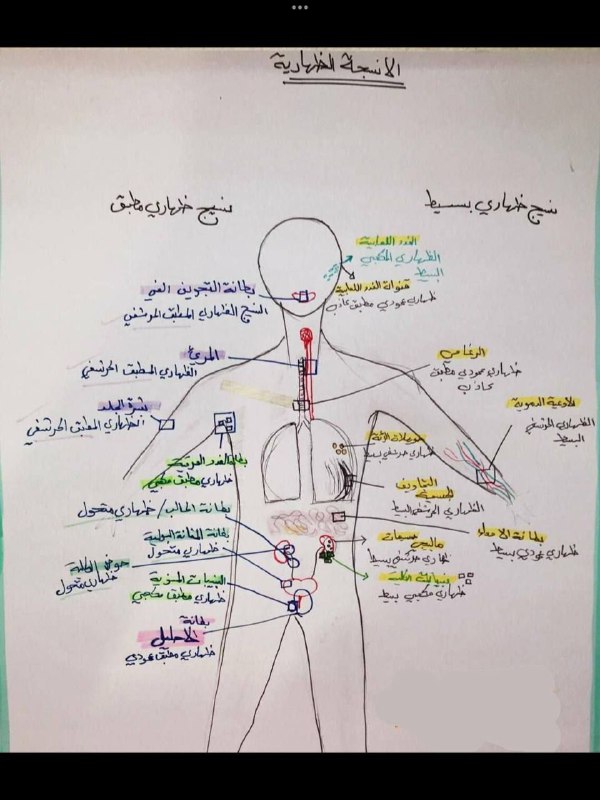 مخلص/ الأنسجة