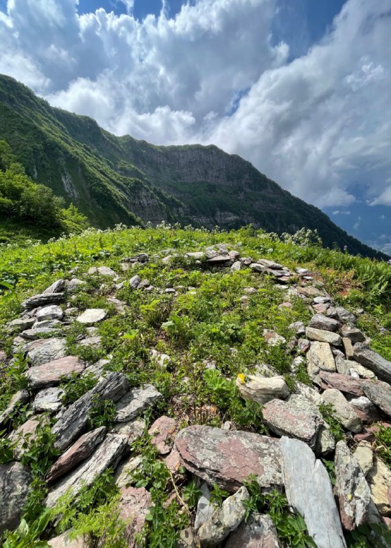 КРАСА КУБАНИ, Краснодарский край, Россия.