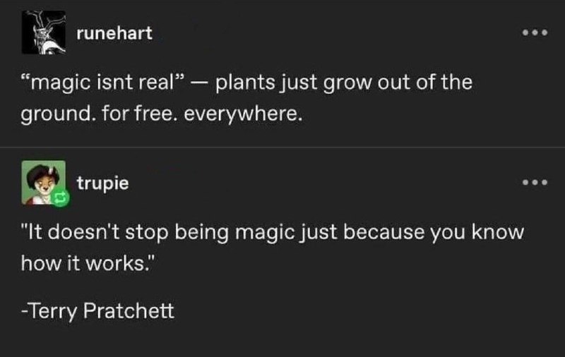 kraut.land