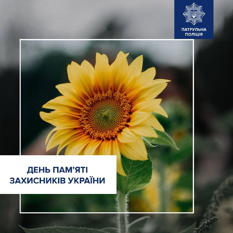 ***🌻***29 серпня — День пам’яті захисників …