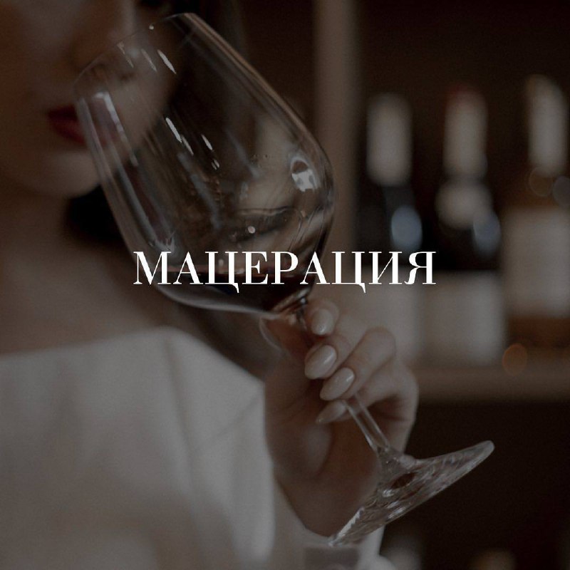 Винных терминов так много! ***🍷*** Сегодня …