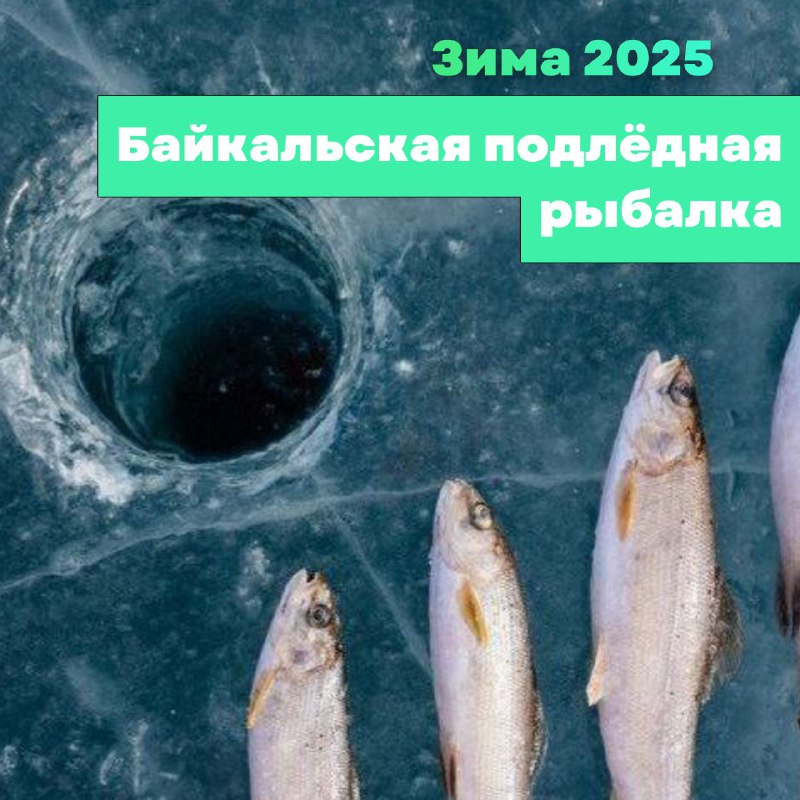 Подледная рыбалка на Байкале***🐟***