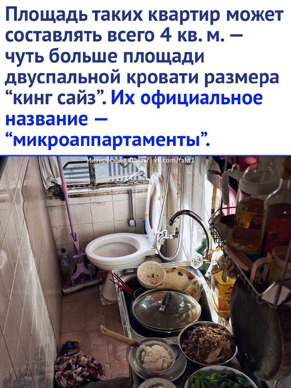 КРУТЫЕ ФАКТЫ!