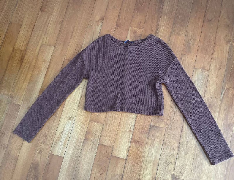 ZARA embroidered brown sweater