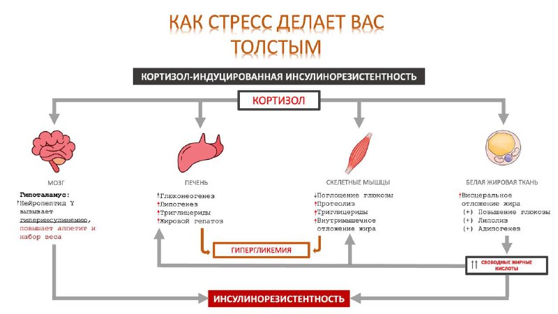 Кончакова Ксения -интеллигентный 👩‍⚕️ врач