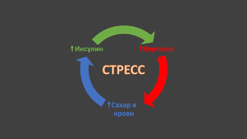 Кончакова Ксения -интеллигентный 👩‍⚕️ врач