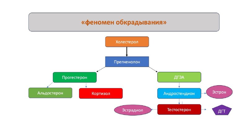 Кончакова Ксения -интеллигентный 👩‍⚕️ врач