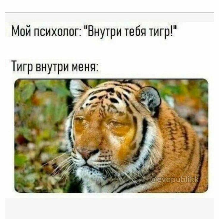 Я щас вырублюсь в метро