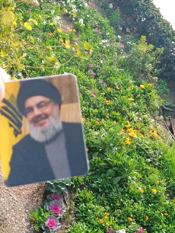 كتاباتي ✍️