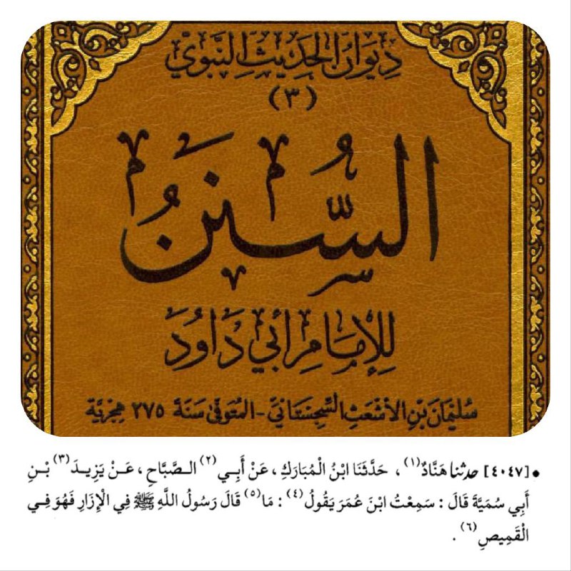 أي، كل ما ذكره النبي صلى …