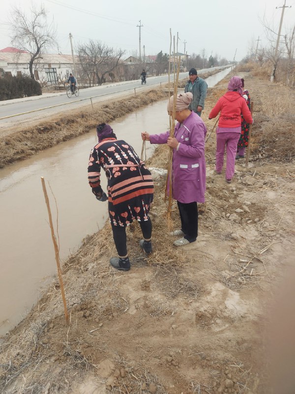 Ixtisoslashtirilgan maktab I Kogon tuman