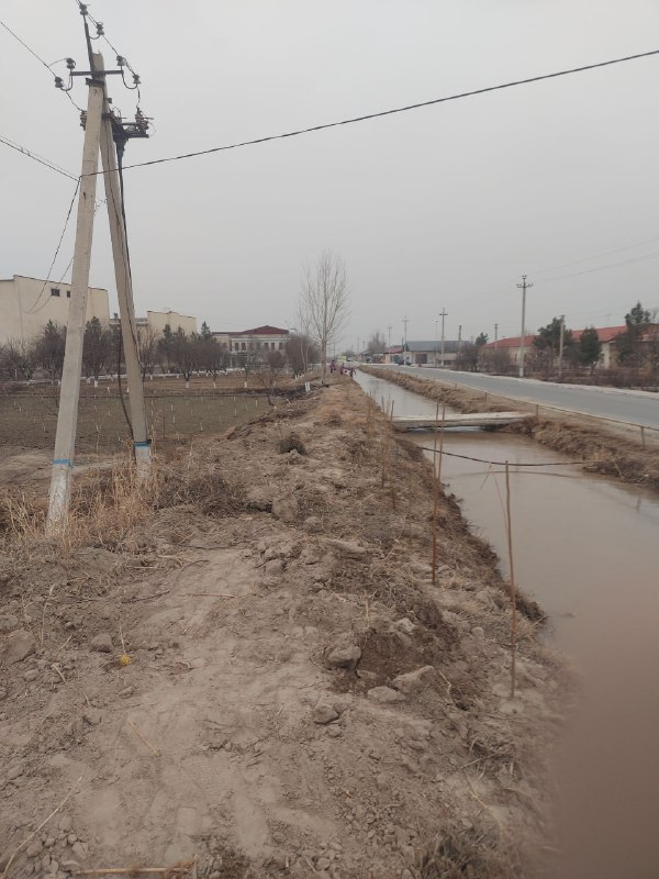 Ixtisoslashtirilgan maktab I Kogon tuman