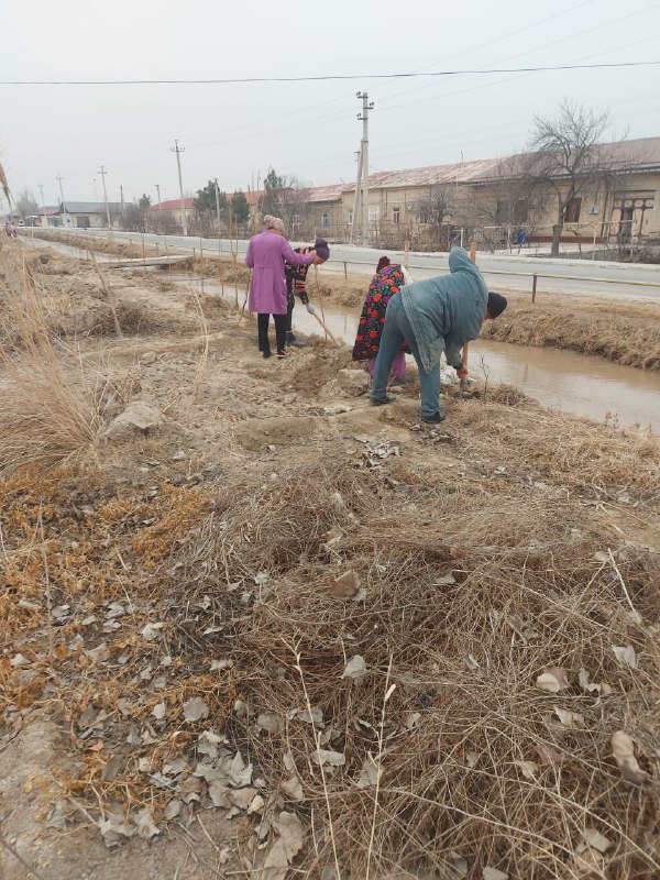 Ixtisoslashtirilgan maktab I Kogon tuman