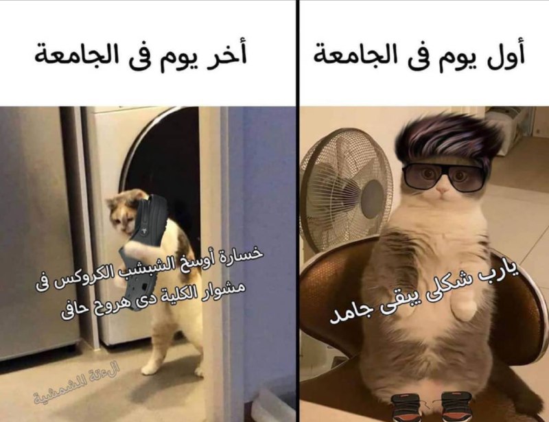 ظوضوع