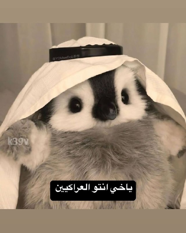 ظوضوع