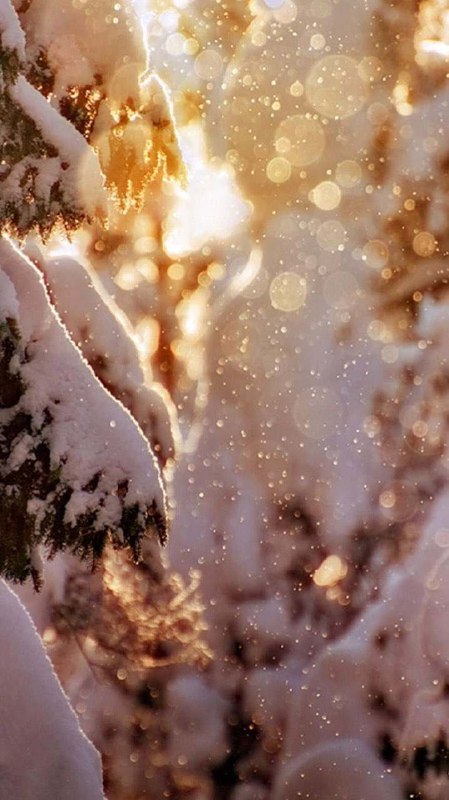 ***❄️***