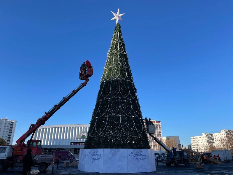 ***🎄*** **Еще одну новогоднюю ёлку установили …