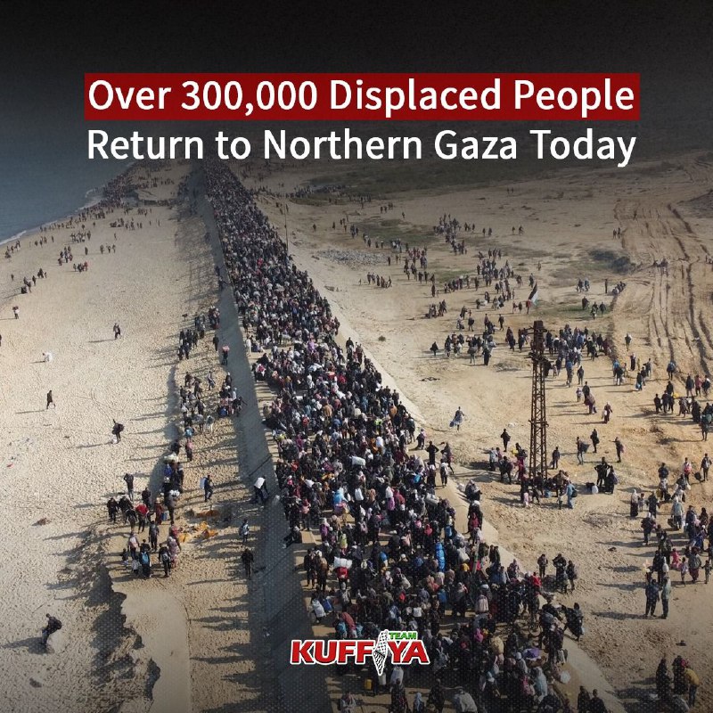 More than 300,000 displaced Palestinians have …