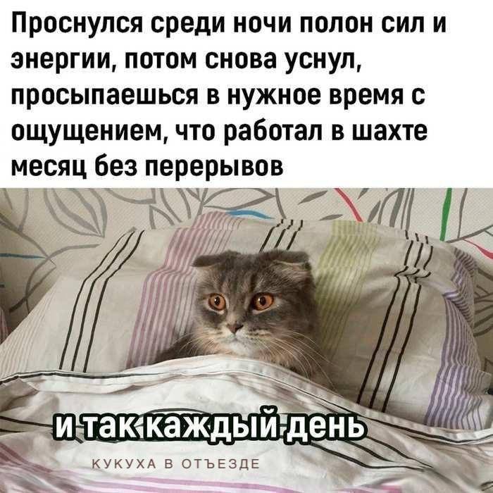 [Кукуха в отъезде](https://t.me/kukuha_v)***🐦***