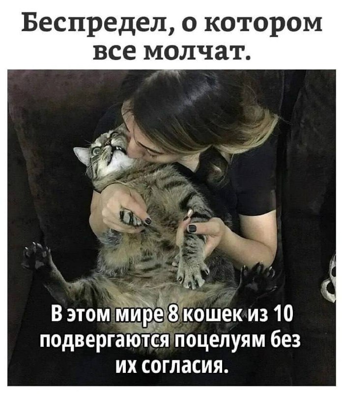 [Кукуха в отъезде](https://t.me/kukuha_v)***🐦***