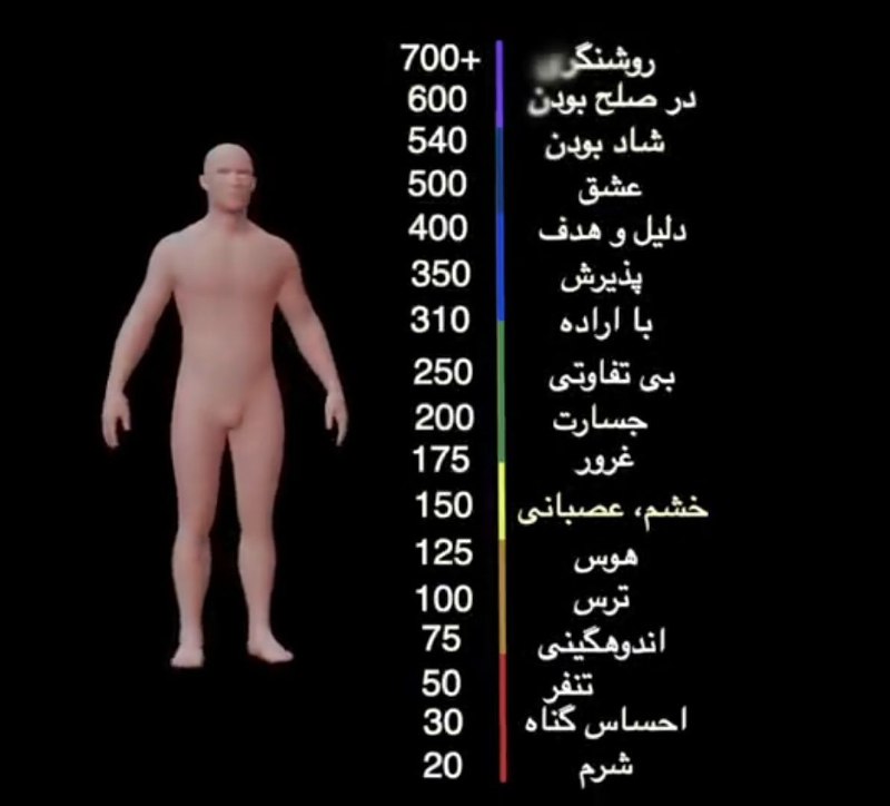 بیداری کندالینی