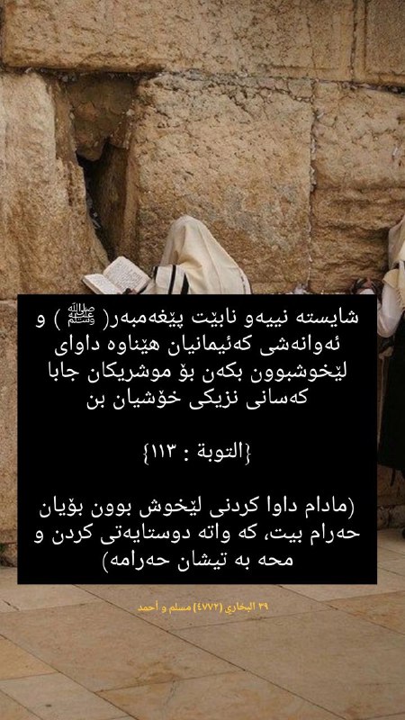 كُـن فَـيَـكُـونُـ🦋