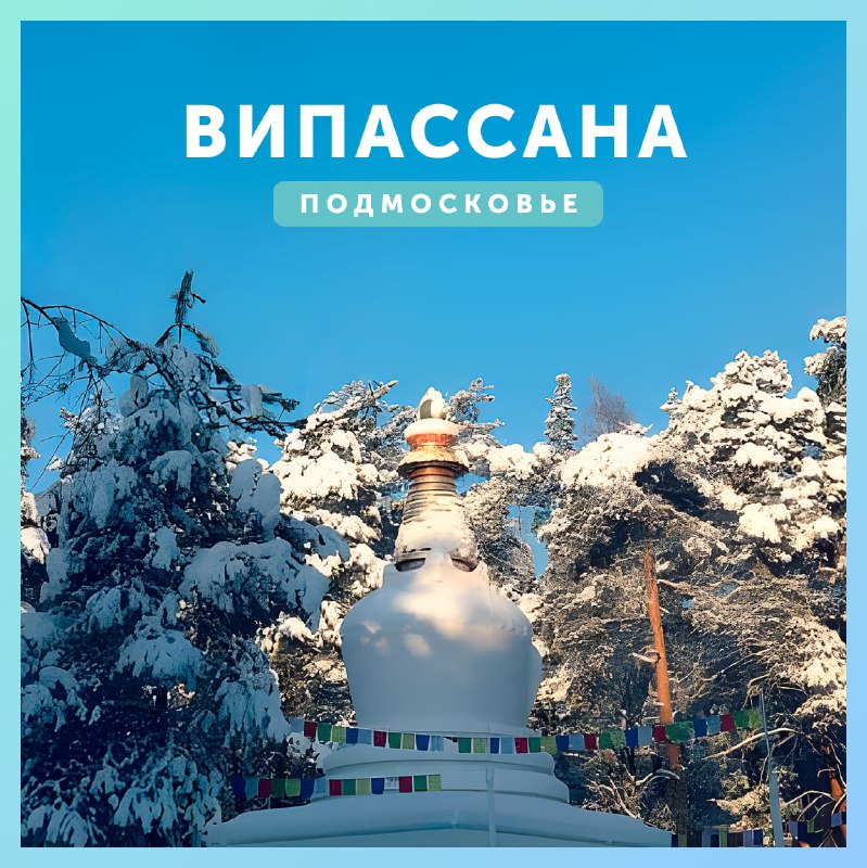 **Випассана под Москвой** ***✅***