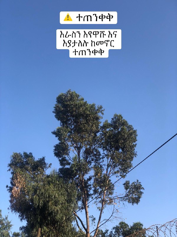 💭ቁራጭ ቃላት💬