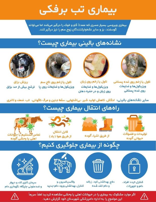 ***?***نشانه های بالینی بیماری تب برفکی …