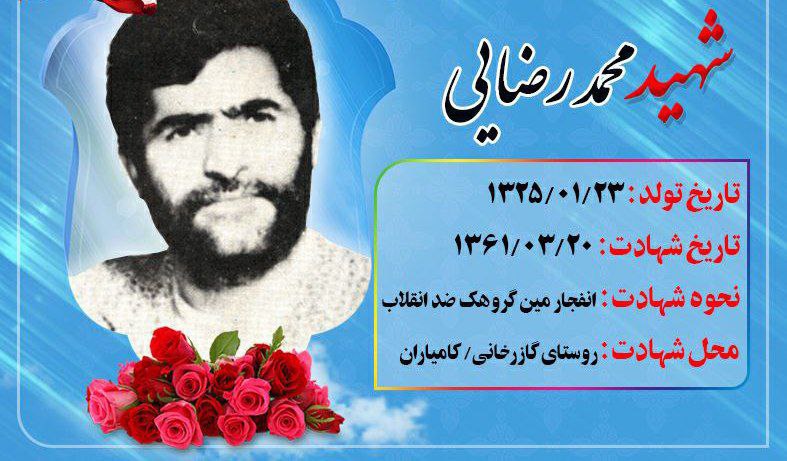 *****?***مروری بر زندگی شهید «محمد رضایی»**