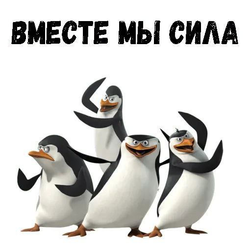 кусиав (kussiav) ₽OMO¥KA