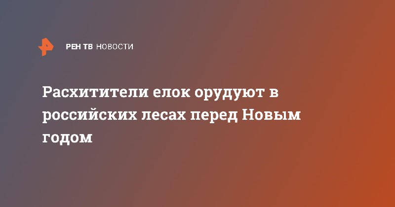 Кузбасс на федеральном ТВ
