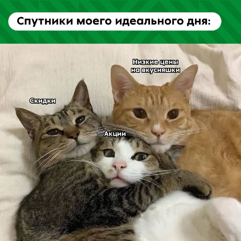 **«Да быть этого не может!»** — …