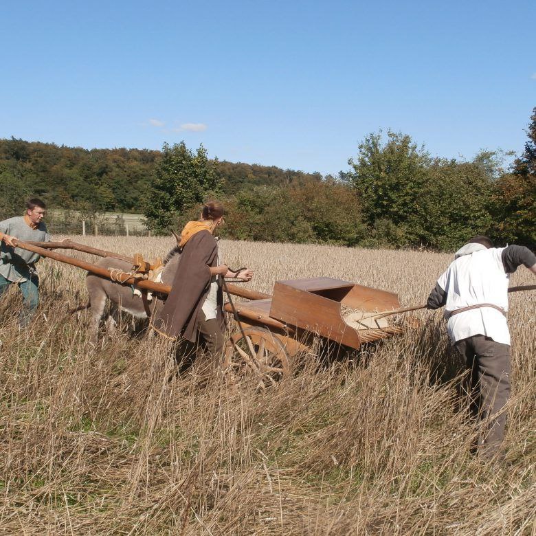 Курінь Самобутності