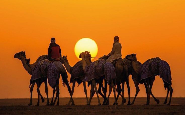 بعد انضمامك لهذه القناة المميزة ***✨***