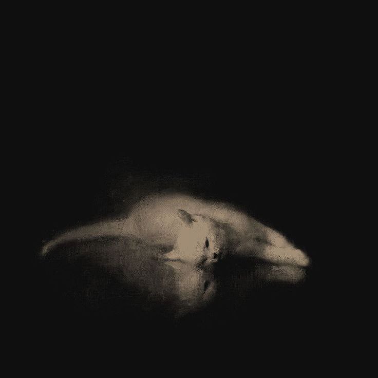 𝟭¹